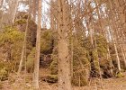 20170226_130742
