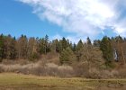 20170226_134227